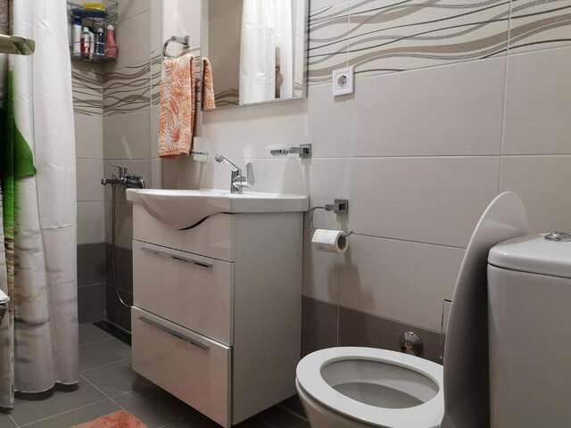 Апартаменты Apartman Glomazic Жабляк-48